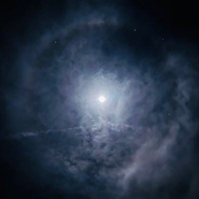 BryanS5337's profile picture. 