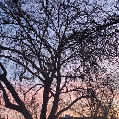 🇨🇦  @TheRealDee.bluesky.social