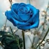 1 (@cbc1_) Twitter profile photo