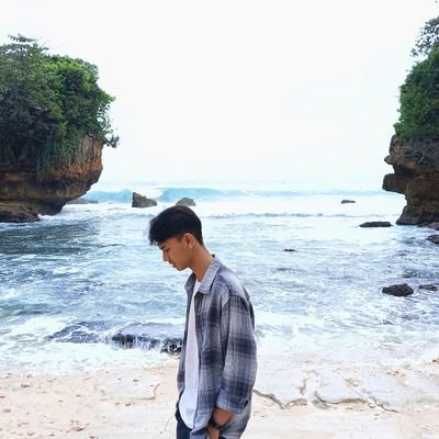 ardiansapa's profile picture. 