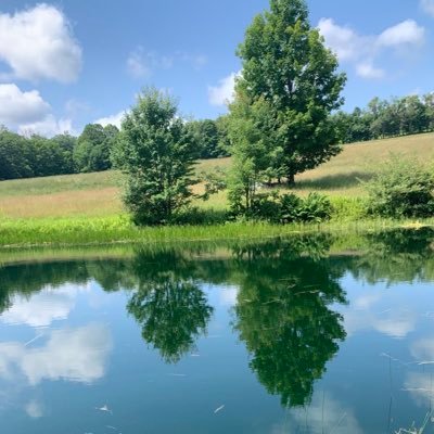 Hardscrabbler. Native Vermonter. Writer. Bereaved mother. Food producer. Wood splitter. Weed-eater. 60+ triathlons. Kindness, community, democracy.