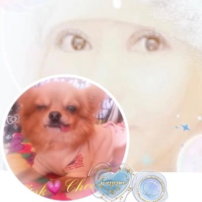 4l9yLaJR3LSGqlM's profile picture. ✧︎世界平和✧︎ 本当はSNSなど苦手😂 無言((꜆꜄•௰•)꜆꜄꜆»♡👍💕 ごめんなさい🙏 🐾໊動物🌱自然大好きεiз *✧一緒に団結✧︎*して狂った腐った世界変えましょう🌏.｡* 𓅯𓂃 𓈒𓏸 魂が貧しい奴醜い奴が一番嫌い🔥〰️れいわ新選組支持〰️ 🐾 🫵🏻緊急事態条項はいらん🔥