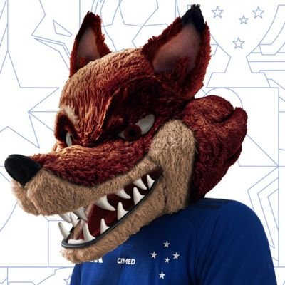 FelipeSalgadoBH's profile picture. família abençoada e muito bem casado agradeço sempre ao meu pai por ter me ensinado a ser palestra e cruzeiro. te amarei eternamente cruzeiro. #pncf