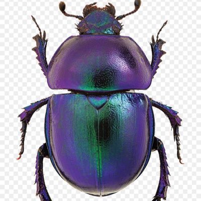 DesignerBlake's profile picture. 