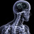 pollejo69's profile image