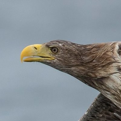 Froglover_37's profile picture. 