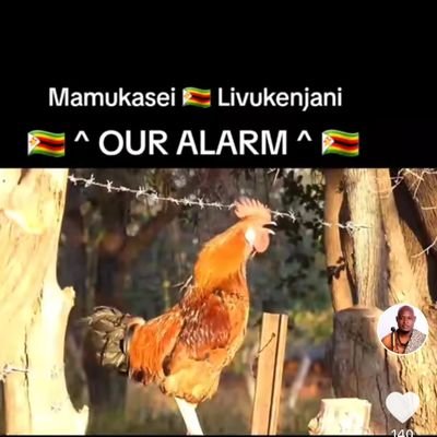 Milltech06's profile picture. Hustle hard