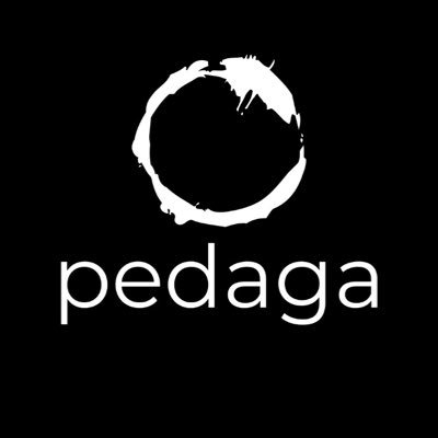 Pedaga™ is a start-up founded in 2022. We encourage continuous innovation, adaptability, and a willingness to challenge the status quo.
