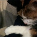 Robin Paterson - @RN4DaLord - Twitter