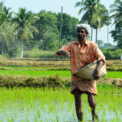 संचार कर्मी उप्र पूर्व परिमंडल Profile