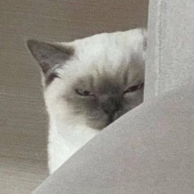 Tofu_yaさんのプロフィール画像