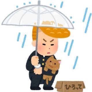 아이さんのプロフィール画像