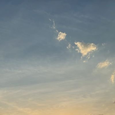 fib1fo's profile picture. 