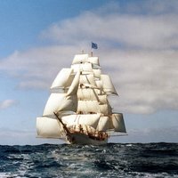 Bark EUROPA(@BarkEuropa) 's Twitter Profileg