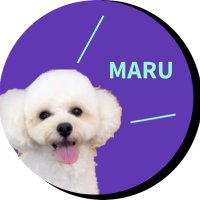 まさかのまさかZ (@okusenma) 's Twitter Profile