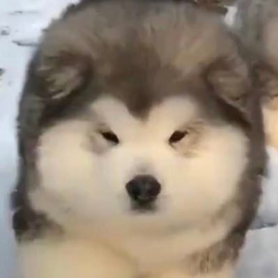 nhouthasin's profile picture. 