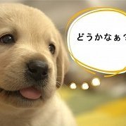 歌手、アイドル、グラドル、セクシー系アイドル、その他おすすめしたい情報をつぶやきます。
中には、R18のアダルト情報も含まれる場合がありますので、そのつぶやきは18才未満の方はご覧にならないでくださいね。
もし、不快に感じた方がいらっしゃいましたら、申し訳ございませんが、その際はリムーブしてください。