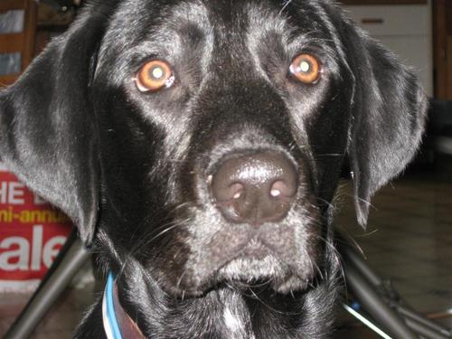 LaurenRoop's profile picture. 