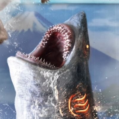 youdao59241's profile picture. 凍結されたので二代目。
基本永久非公開です。