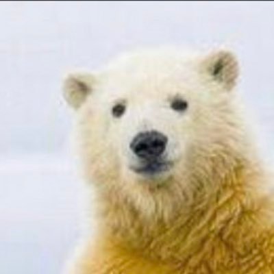 6BUs36zTXs19387's profile picture. 