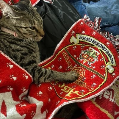 Arsenal for life.