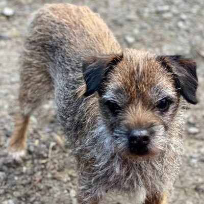 MarkPRamsey's profile picture. that’s you that is!