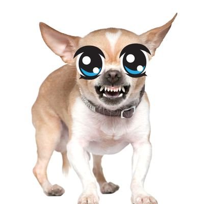 메인트계이하는 맑은 눈의 치와와 빛츠키さんのプロフィール画像