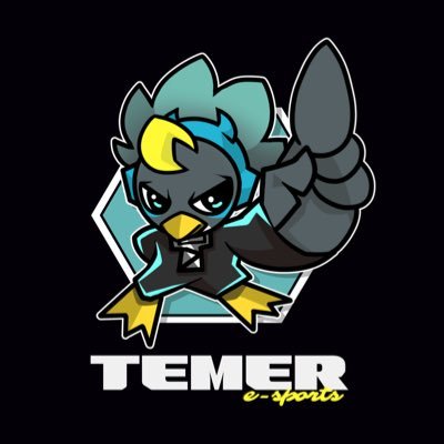 e-sports Team TEMER official🇯🇵 #TEMERWIN | contact 📧：DM | Owner @Sz_watson | HP: https://t.co/MvAANAAG1t  大会主催、大会運営、イベント設営etc