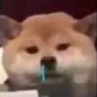 YouXi70534's profile picture. 