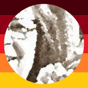 OBundWIE Profile Picture