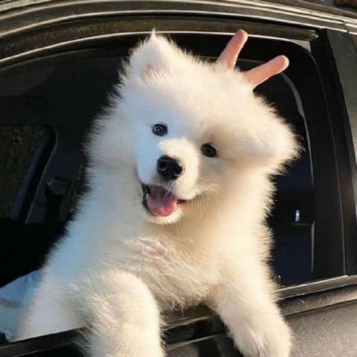 池間千里さんのプロフィール画像
