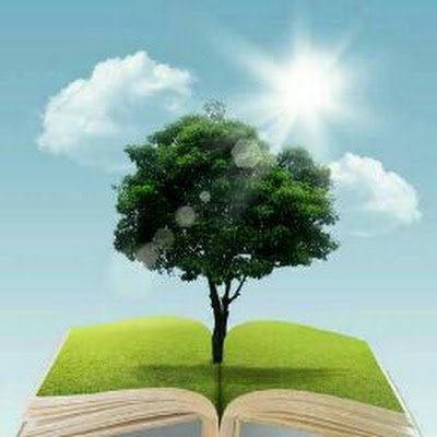 guch74638's profile picture. 