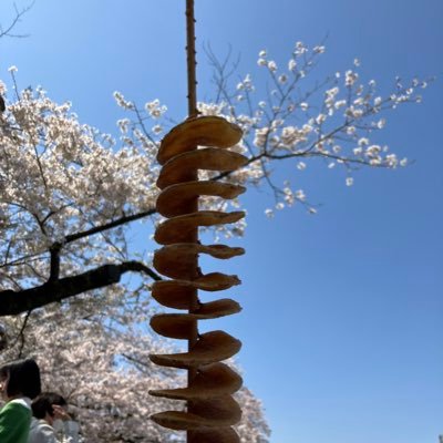 kazucb125's profile picture. 