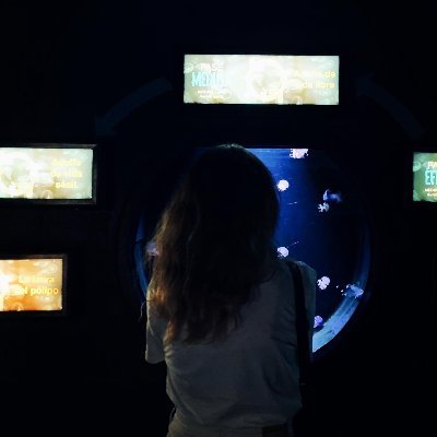 F_SiegeSilver's profile picture. Photographe et écrivain, voyageur invétére.