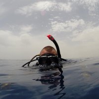 Lee (@mrleetw) 's Twitter Profile
