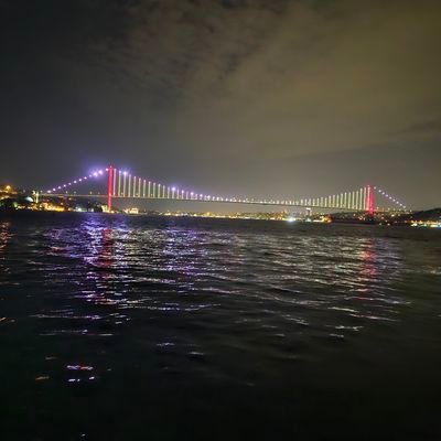 pellini14's profile picture. 