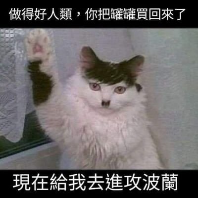 XpGcWWzM74i3QWs's profile picture. 