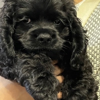 Jack24105693's profile picture. ゲーム大好き人