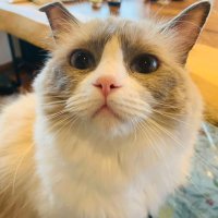 m (@manamisan5510) 's Twitter Profile