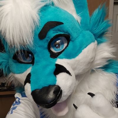33//Competition Stereos//TOP .03% CAR MILEAGE CLUB//Likes to go fishing//Married to @Mika_Bunnifox ❤