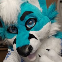 Foxtek π¦πΆπ΅ π BABY/HOUSE (@foxtekbasshead) 's Twitter Profile