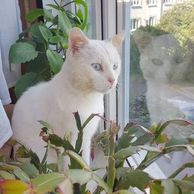 Zhtar6's profile picture. 