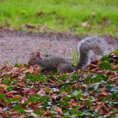 shosho_crepe9's profile picture. うどん県生まれの99年世代。 Cardiff Uni ‘25  🇬🇧🏴󠁧󠁢󠁷󠁬󠁳󠁿 ペプシとクレープが好きです :)