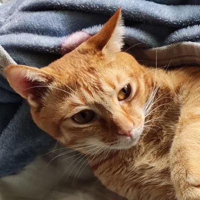 米勒さんのプロフィール画像