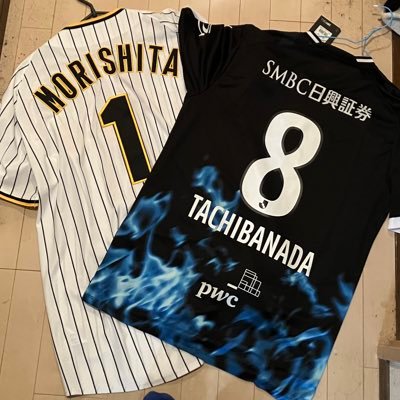 今年は阪神タイガースと川崎フロンターレの優勝する姿が見たい! 2025シーズンシーズン観戦成績阪神戦12勝1敗1分 フロンターレ戦6勝5敗2分