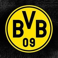 Steffen Beer (@steffenbvb) Twitter profile photo