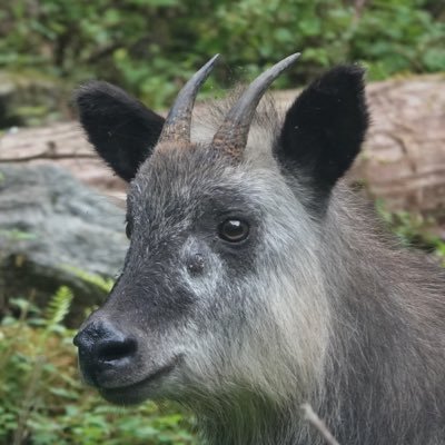 （アカン）さんのプロフィール画像