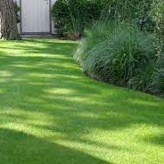 pauldavis261547's profile picture. ophthalmology resident