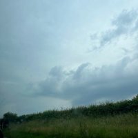 scoliosis (@sillybones777) 's Twitter Profile