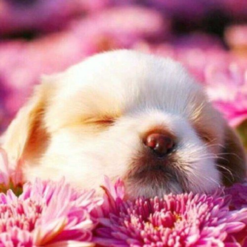 coolway92's profile picture. 